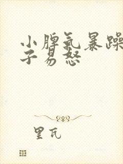 小脾气暴躁的孩子易怒