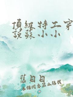 顶级特工穿越小说苏小小