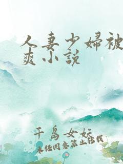 人妻少妇被粗大爽小说