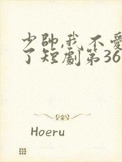 少帅,我不爱你了短剧第36集