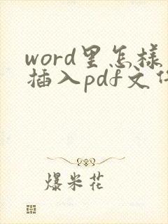 word里怎样插入pdf文件