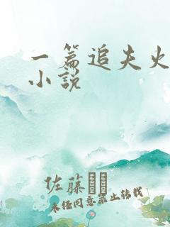 一篇追夫火葬场小说