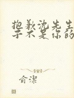 抱歉沈先生,孩子不是你的短剧免费看