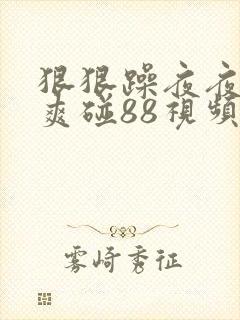 狠狠躁夜夜躁人爽碰88视频