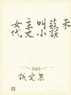 女主叫苏禾的年代文小说