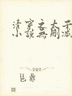 清穿之太子娇妃小说无删减
