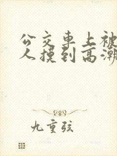 公交车上被陌生人摸到高潮