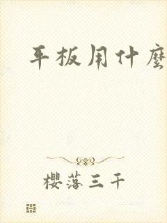 平板用什么画画
