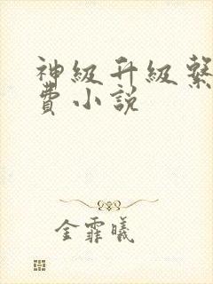 神级升级系统免费小说