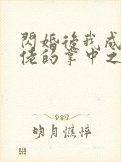 闪婚后我成了大佬的掌中之物17