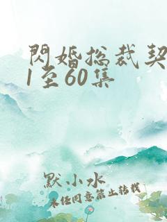闪婚总裁契约妻1至60集