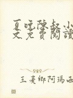 夏晚陈叔小说全文免费阅读