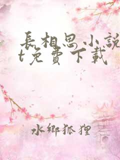 长相思小说txt免费下载