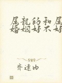 属龙的和属猴的婚姻好不好