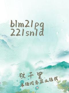 blm21pg221sn1d