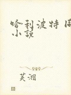 哈利波特 同人小说