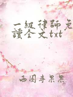 一级律师免费阅读全文txt