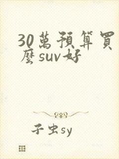 30万预算买什么suv好