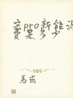 宋pro新能源费是多少