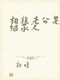 相亲老公是豪门继承人