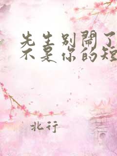 先生别闹了新娘不是你的短剧全集免费观看