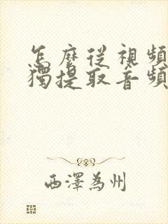 怎么从视频中单独提取音频
