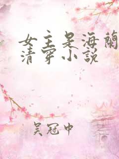 女主是海兰珠的清穿小说