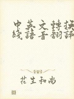 中英文转换器在线语音翻译