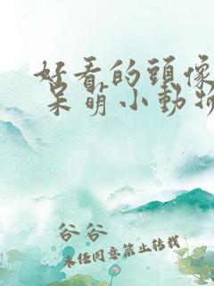 好看的头像可爱 呆萌小动物