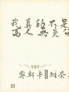 我真的不是绝世高人 无炎公子