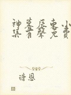 神墓辰东小说全集有声免费听