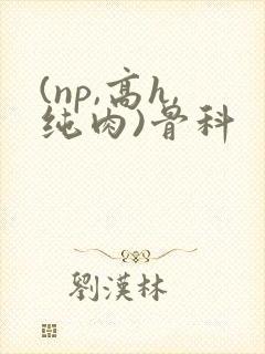 (np,高h,纯肉)骨科