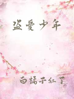 盗爱少年