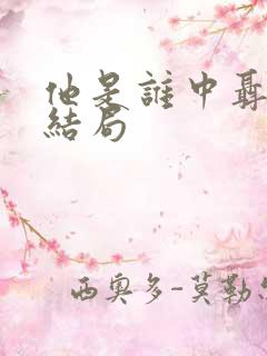 他是谁中聂小雨结局