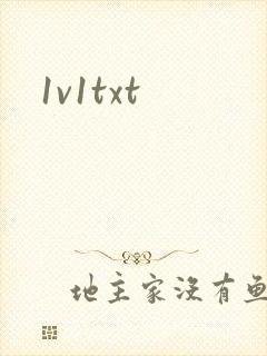 1v1txt