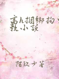 高h捆绑拘束调教小说