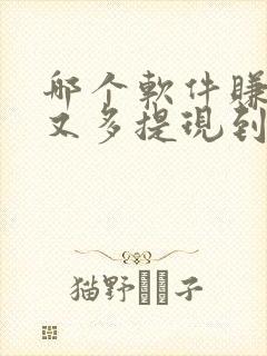 哪个软件赚钱快又多提现到微信