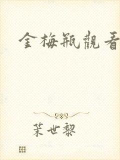 金梅瓶观看
