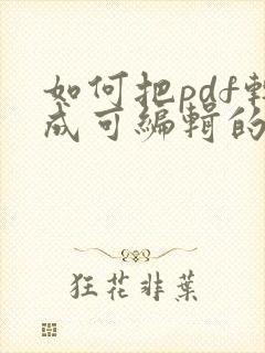 如何把pdf转成可编辑的pdf