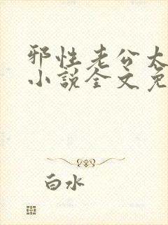 邪性老公太霸道小说全文免费阅读