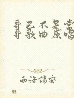 哥已不是当年的哥歌曲原唱