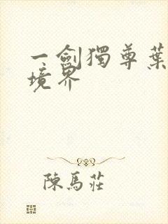 一剑独尊叶玄的境界