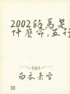 2002的马是什么命,五行属性