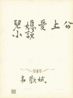 儿媳爱上公公的小说