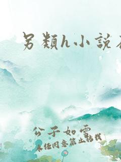 另类h小说在线