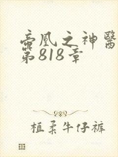 帝凰之神医弃妃第818章