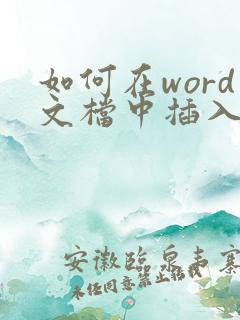 如何在word文档中插入pdf文件