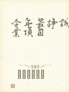 今年最挣钱的创业项目