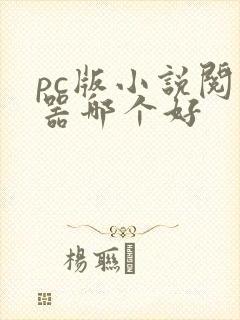 pc版小说阅读器哪个好
