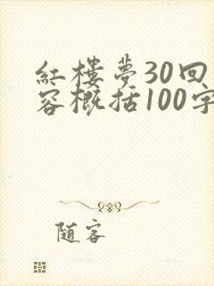 红楼梦30回内容概括100字